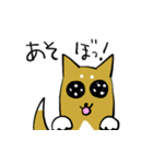 柴犬と一緒（個別スタンプ：3）