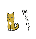 柴犬と一緒（個別スタンプ：4）