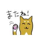 柴犬と一緒（個別スタンプ：7）