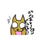 柴犬と一緒（個別スタンプ：21）