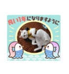 猫の日常➀（個別スタンプ：2）