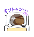 猫の日常➀（個別スタンプ：7）