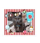 猫の日常➀（個別スタンプ：8）