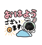 山下さんちのLady ＆ Biscoの可愛いスタンプ（個別スタンプ：5）