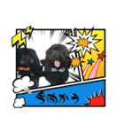 山下さんちのLady ＆ Biscoの可愛いスタンプ（個別スタンプ：13）