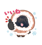 山下さんちのLady ＆ Biscoの可愛いスタンプ（個別スタンプ：17）