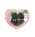 山下さんちのLady ＆ Biscoの可愛いスタンプ（個別スタンプ：19）