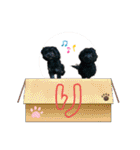 山下さんちのLady ＆ Biscoの可愛いスタンプ（個別スタンプ：20）