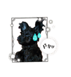 山下さんちのLady ＆ Biscoの可愛いスタンプ（個別スタンプ：22）