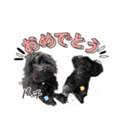山下さんちのLady ＆ Biscoの可愛いスタンプ（個別スタンプ：32）