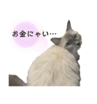 ねろたんスタンプ12（個別スタンプ：10）