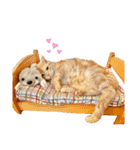 ねろたんスタンプ12（個別スタンプ：23）