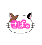 ねこもよう ～南部弁ver.～（個別スタンプ：10）