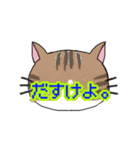 ねこもよう ～南部弁ver.～（個別スタンプ：13）