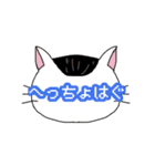 ねこもよう ～南部弁ver.～（個別スタンプ：20）