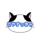 ねこもよう ～南部弁ver.～（個別スタンプ：21）