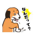 探偵犬（個別スタンプ：17）