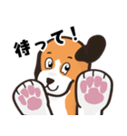 探偵犬（個別スタンプ：36）