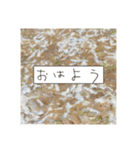 ほとんどもんじゃ（個別スタンプ：3）