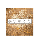 ほとんどもんじゃ（個別スタンプ：5）