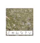 ほとんどもんじゃ（個別スタンプ：29）