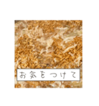 ほとんどもんじゃ（個別スタンプ：40）