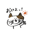 日常会話のミケ猫ミーコ（個別スタンプ：9）