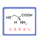 アミノ酸・ヘテロ環構造式 -薬学生-（個別スタンプ：8）