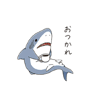 いろんなサメが毎日使える！SHARK ALL STAR（個別スタンプ：13）