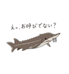 いろんなサメが毎日使える！SHARK ALL STAR（個別スタンプ：18）