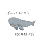 いろんなサメが毎日使える！SHARK ALL STAR（個別スタンプ：36）