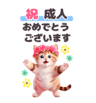 [BIG]お祝いセット おめでとう 花冠ねこ（個別スタンプ：14）