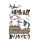 【Big】新・シーズー犬 『時々気分屋さん』（個別スタンプ：30）