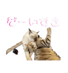 お酒とネコ好きな日常会話 14（個別スタンプ：40）
