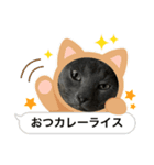 もん吉CAT（個別スタンプ：2）