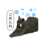 もん吉CAT（個別スタンプ：8）