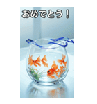 金魚鉢のスタンプ（個別スタンプ：6）