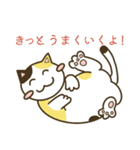 毎日使えるにこちゃん猫あいさつスタンプ（個別スタンプ：26）