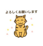 毎日使えるにこちゃん猫あいさつスタンプ（個別スタンプ：31）