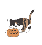 ぽっちゃり猫たちとハロウィンスタンプ（個別スタンプ：5）