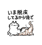 ねこっぽいいきもの14（個別スタンプ：36）