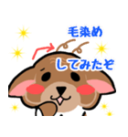 柴犬じぃじ（個別スタンプ：14）