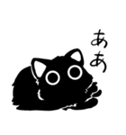 真夜中のねこ（個別スタンプ：13）