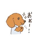 まるっこ犬 ダックスフンド(レッド)（個別スタンプ：29）