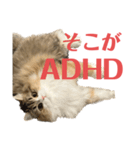 CafeCatちゃん-ADHD（個別スタンプ：40）