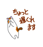 和風猫＜待ち合わせ＞（個別スタンプ：27）