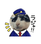 愛猫 2024/10（個別スタンプ：4）