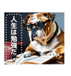 【学ぶイヌ】読書する賢明なブルドッグ犬（個別スタンプ：3）