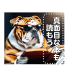 【学ぶイヌ】読書する賢明なブルドッグ犬（個別スタンプ：10）