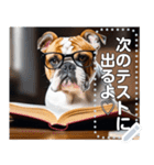 【学ぶイヌ】読書する賢明なブルドッグ犬（個別スタンプ：14）